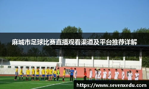 麻城市足球比赛直播观看渠道及平台推荐详解